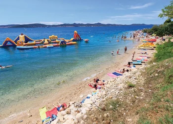 Cda656 Maslenica